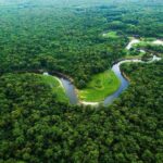 Lula: COP30 fará o mundo olhar de uma forma diferente para a Amazônia