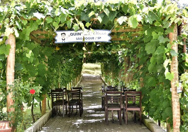 ROTA DO VINHO EM SÃO ROQUE – QUINTA DO OLIVARDO